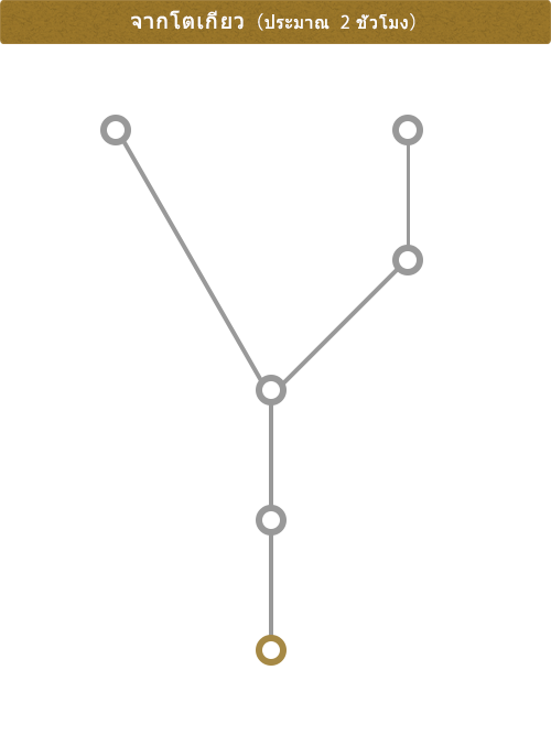 จากโตเกียว