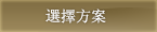 選擇方案