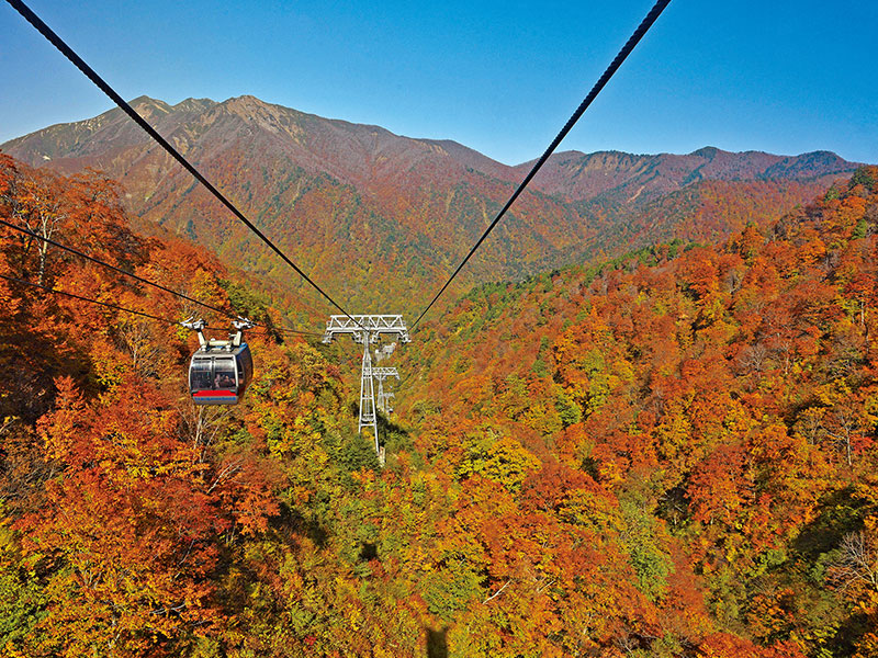 谷川岳ヨッホ（谷川岳ロープウェイ）